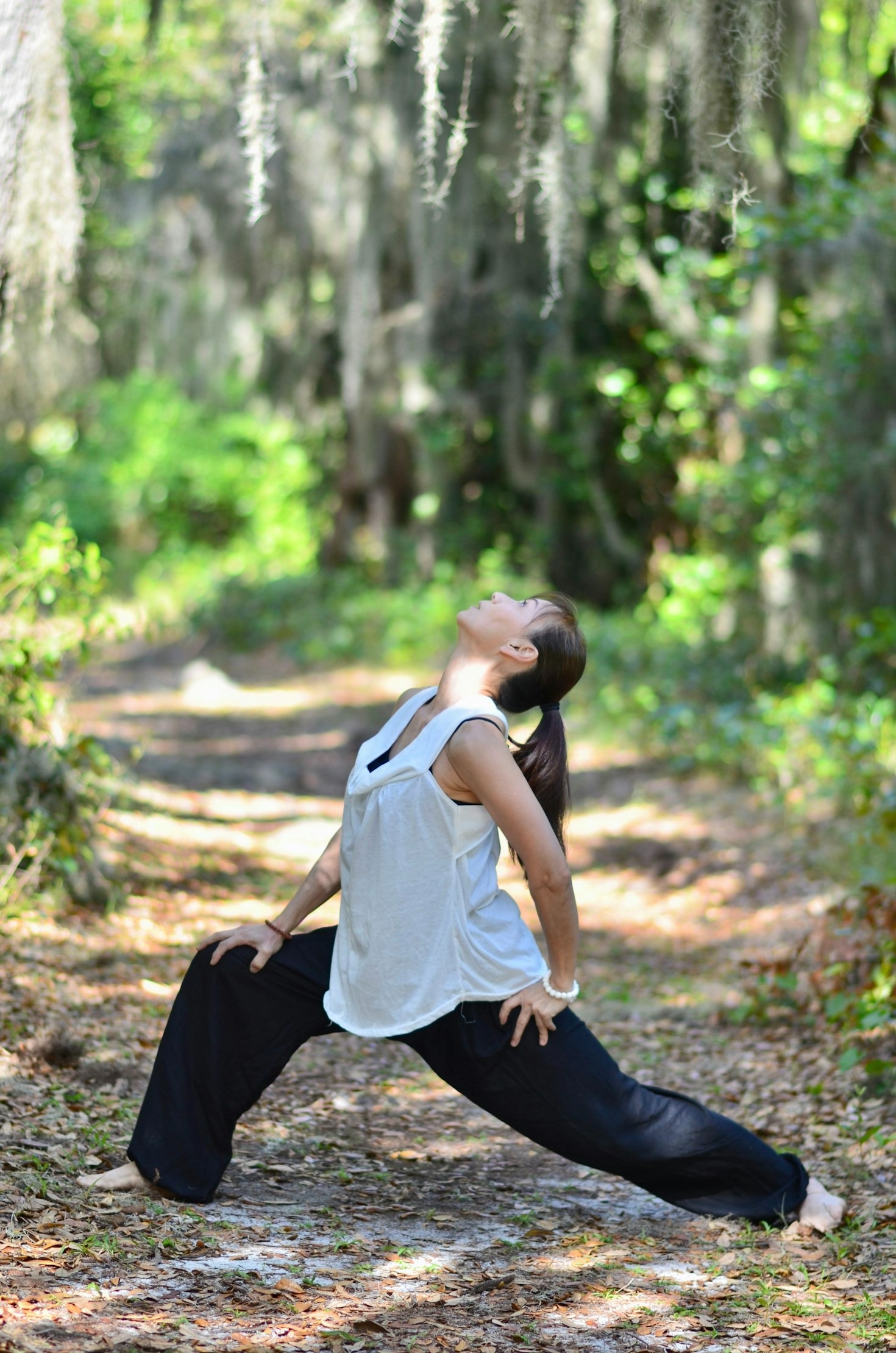 Meditación en movimiento: introducción al QiGong