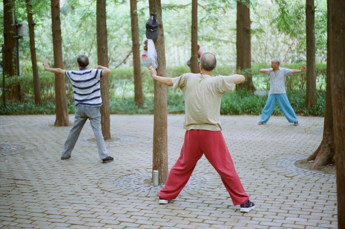 Energía, respiración y bienestar con TaiJi QiGong