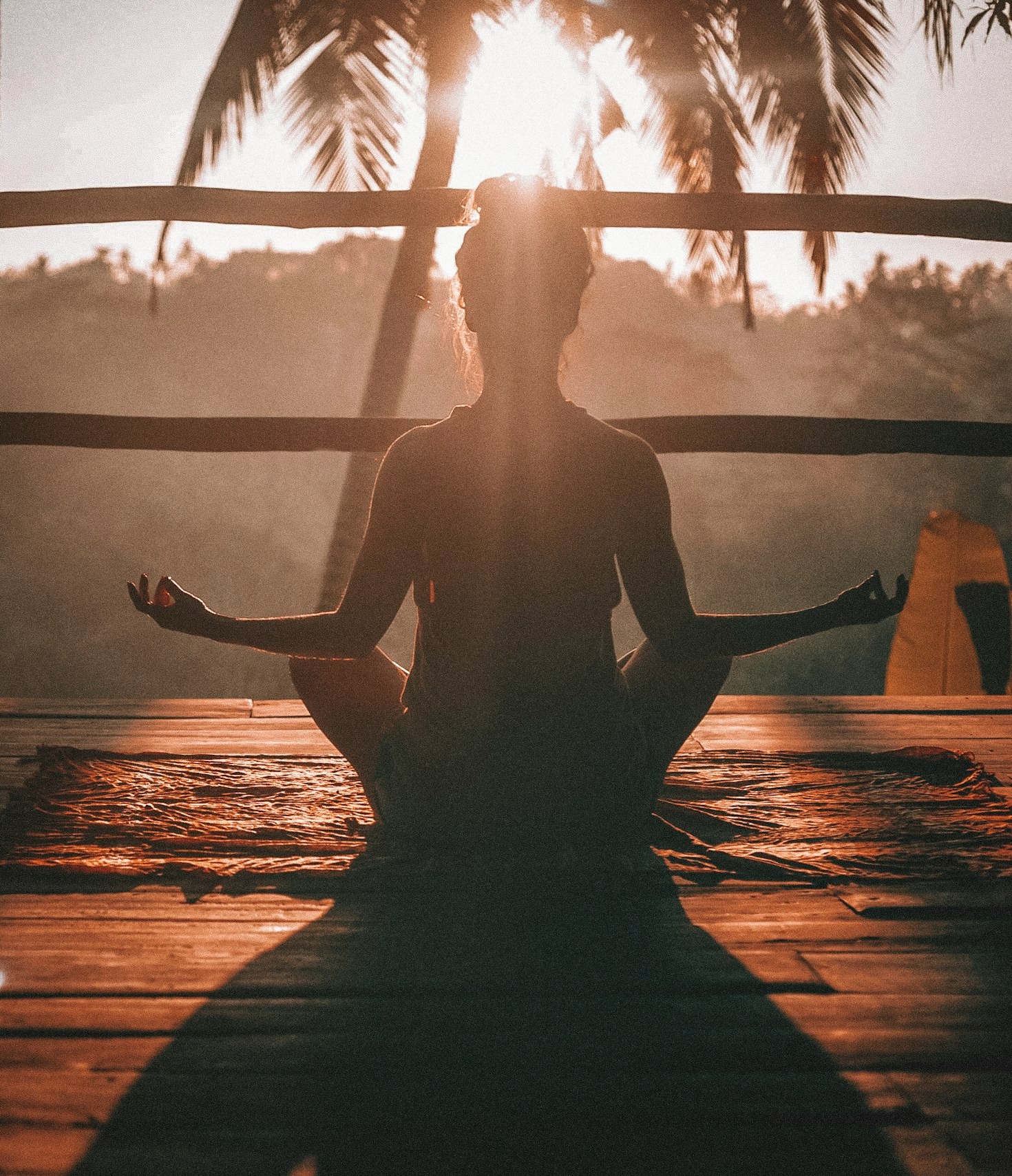 Cómo el TaiJi QiGong transforma tu día a día